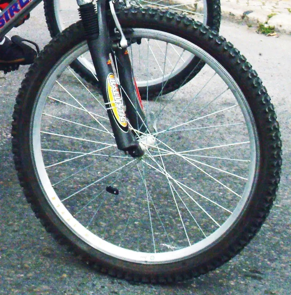 Roda de bicicleta | Imagem genérica de BTT/Cicloturismo