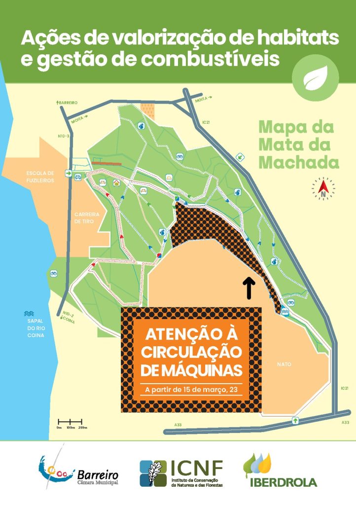 Imagem dos Trabalhos de valorização de habitats e gestão de combustível na Mata Nacional da Machada