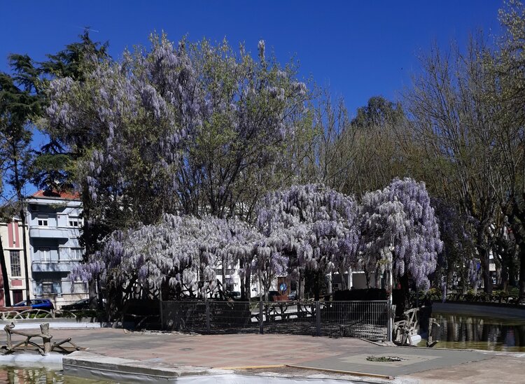 Parque Catarina Eufémia
