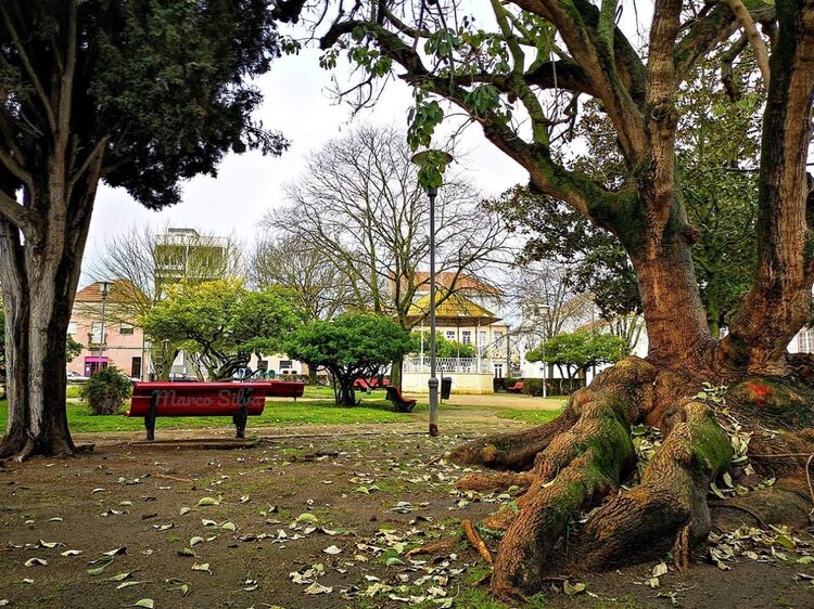 Jardim dos Franceses