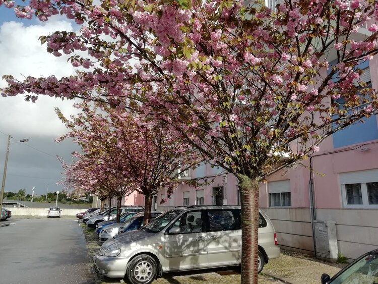 rua_cap_1_750_2500