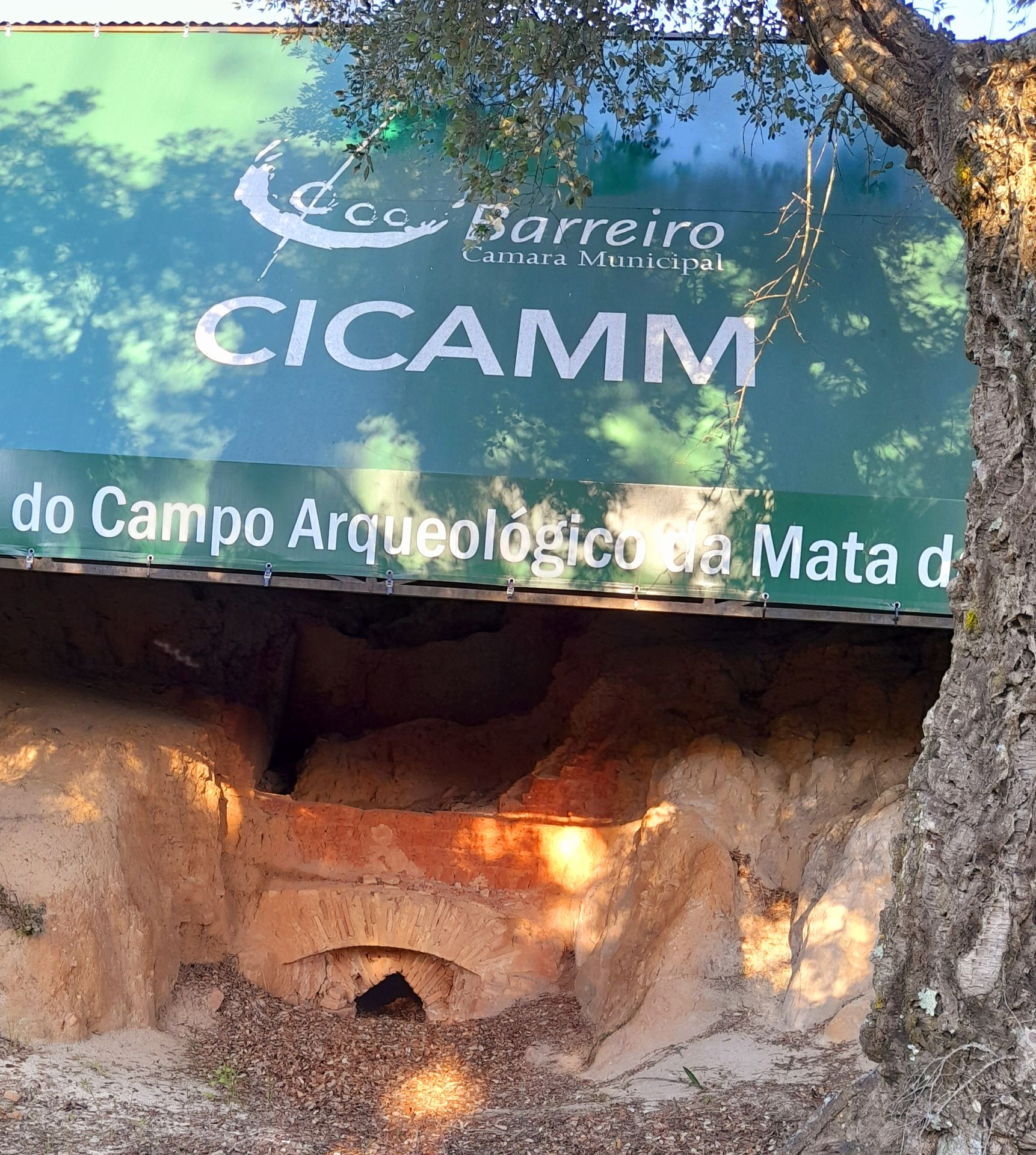 CICAMM