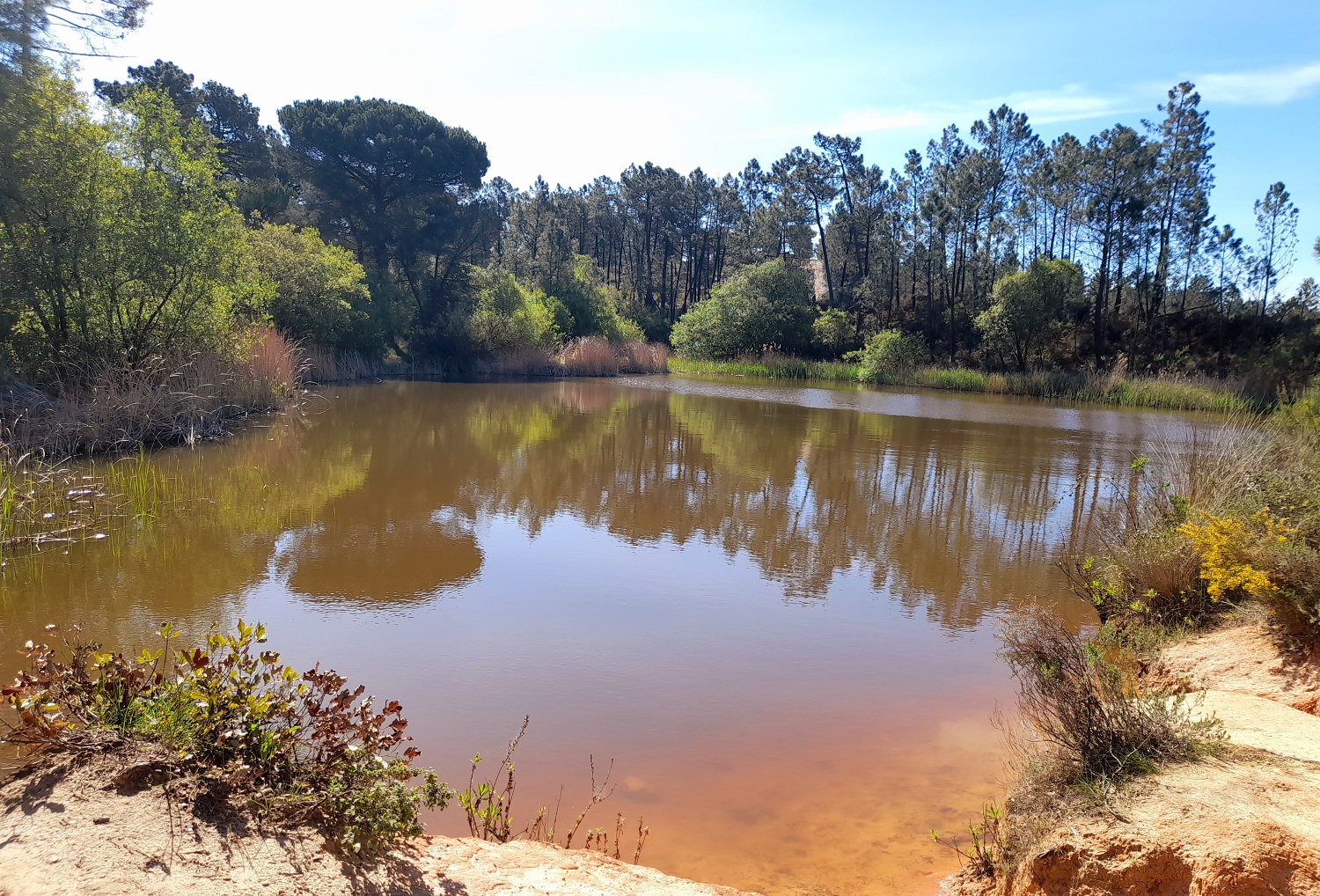 Lago