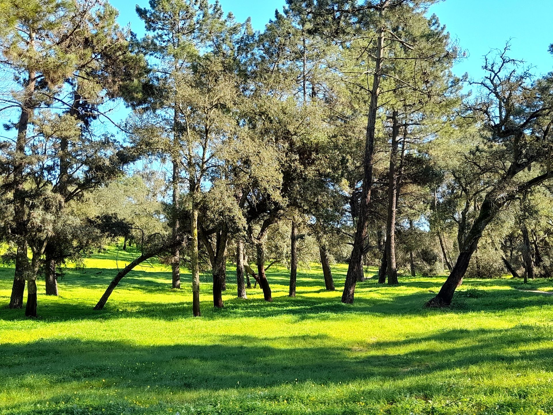 Paisagem