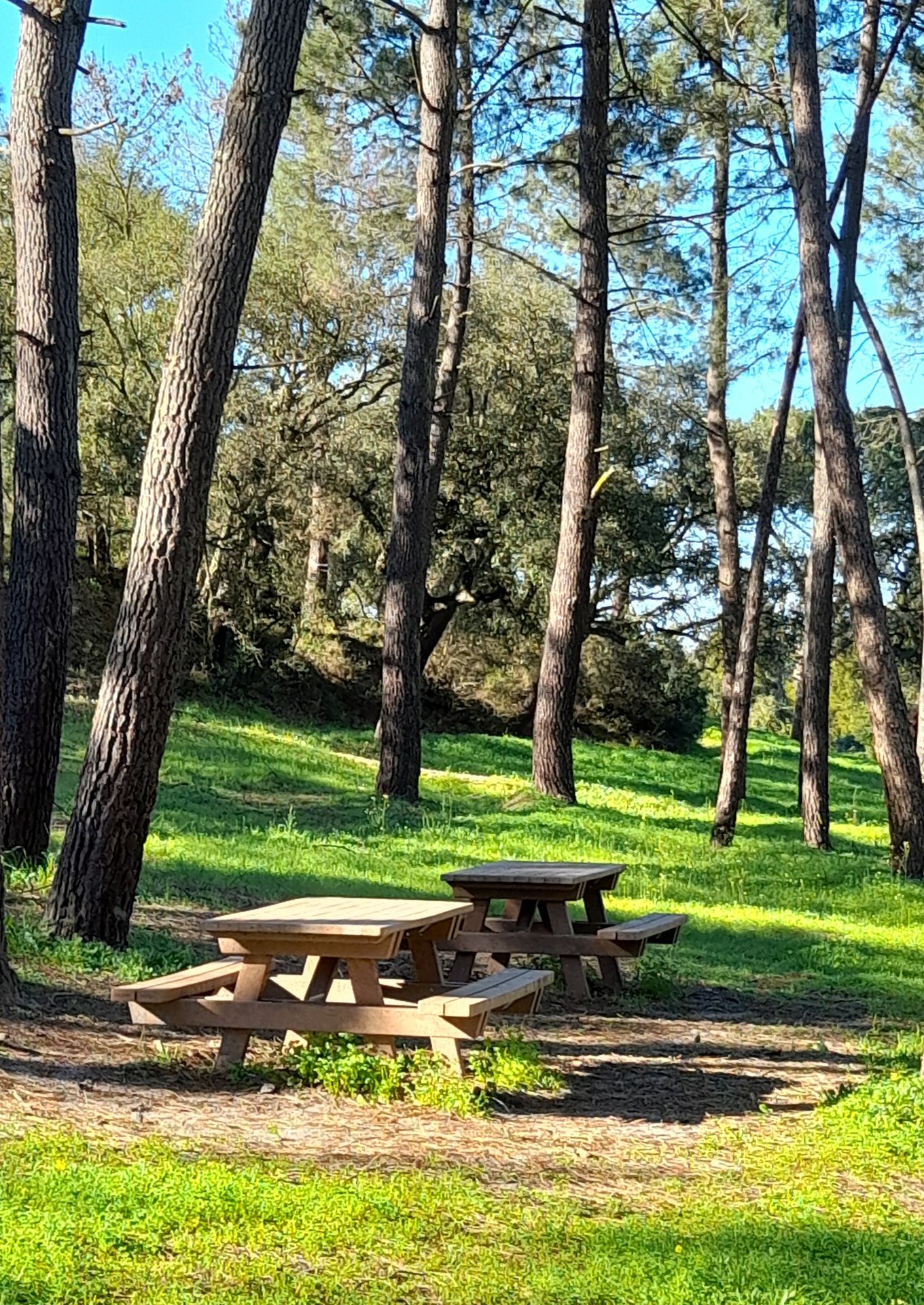 SegundoParqueMerendas