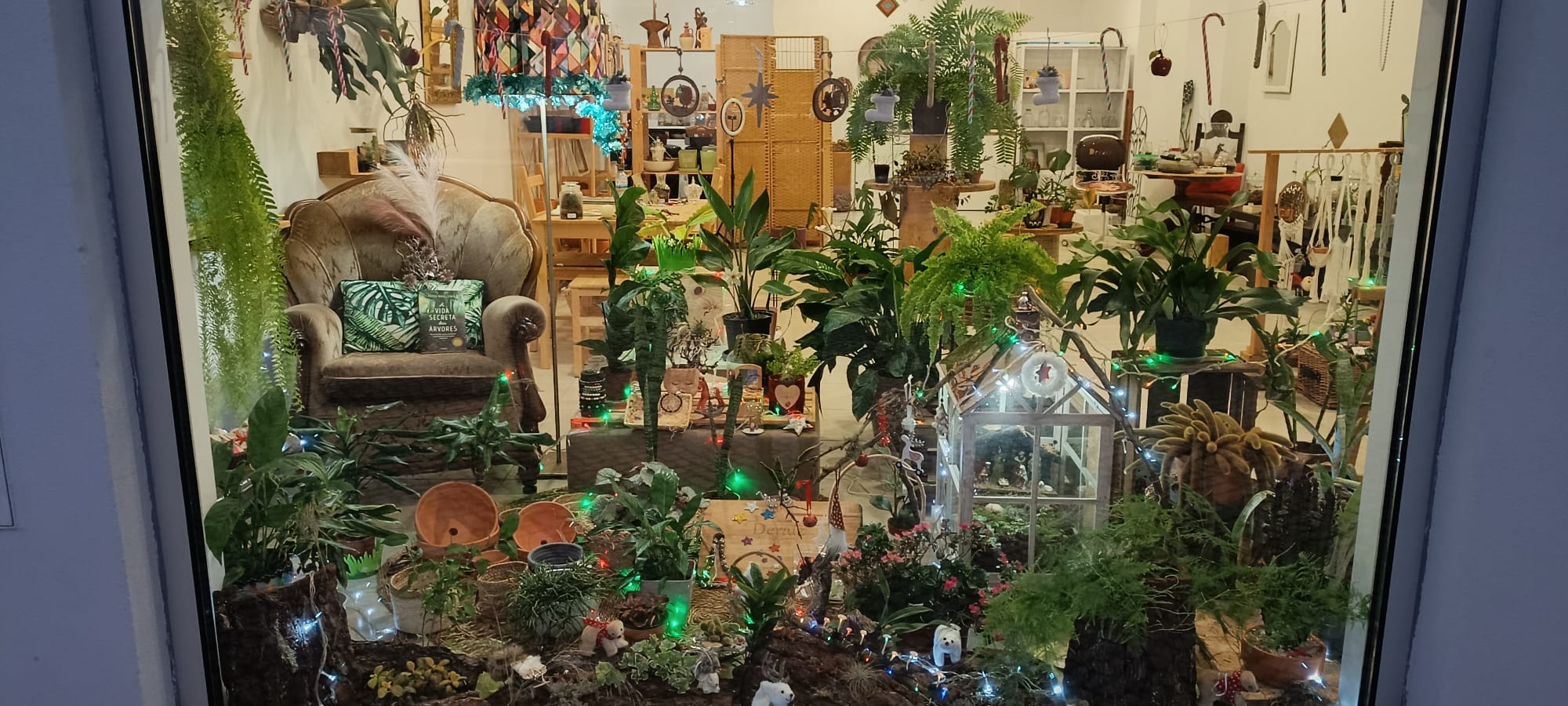 Montra da 22ª edição do XXII Concurso Montras de Natal - Deraíz, Atelier de Jardinagem
