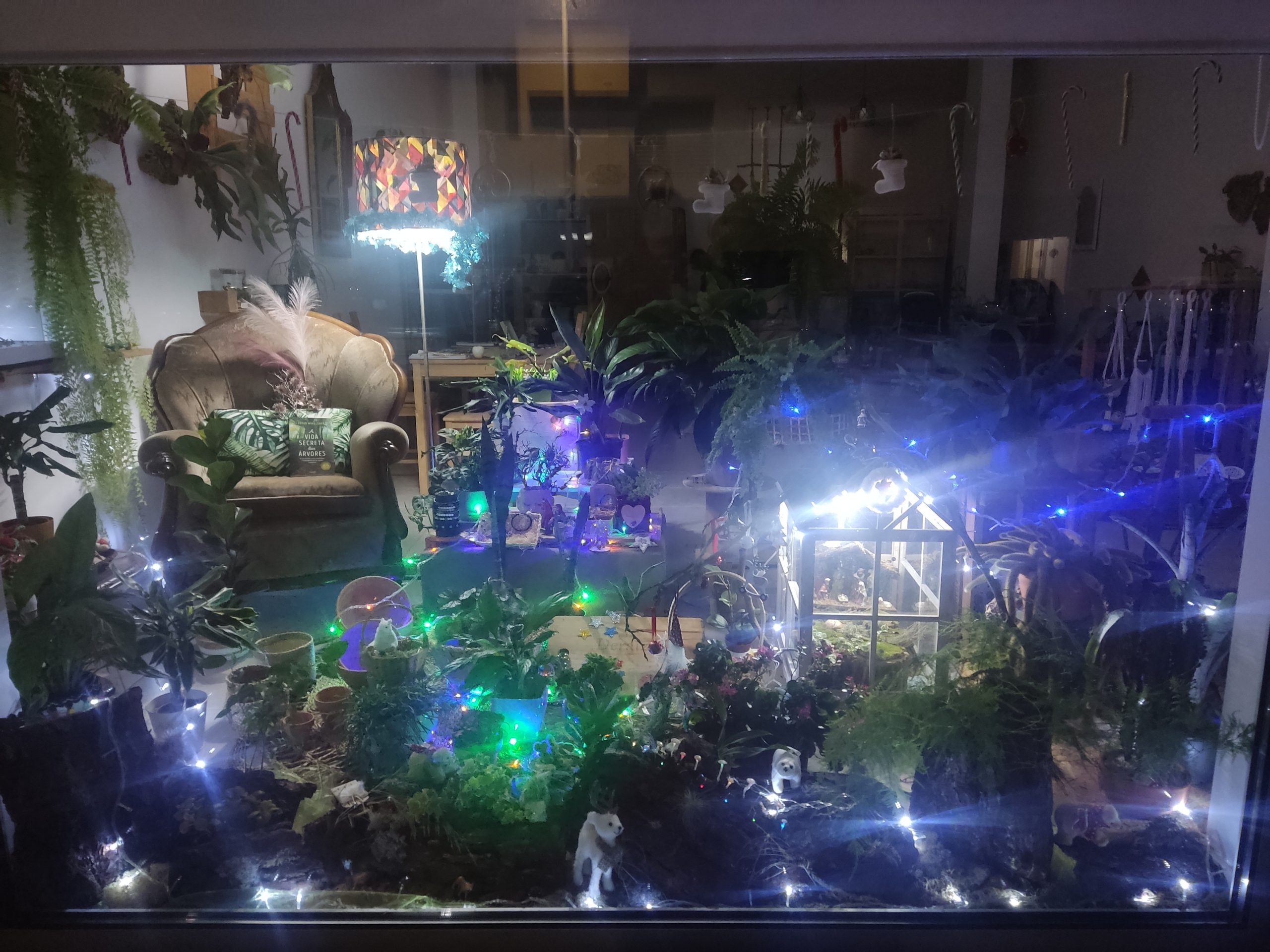 Montra da 22ª edição do XXII Concurso Montras de Natal - Deraíz, Atelier de Jardinagem