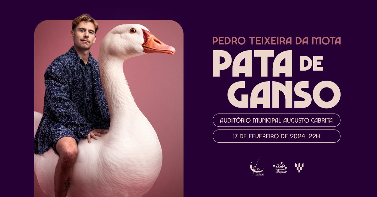 Cartaz do stand-up 