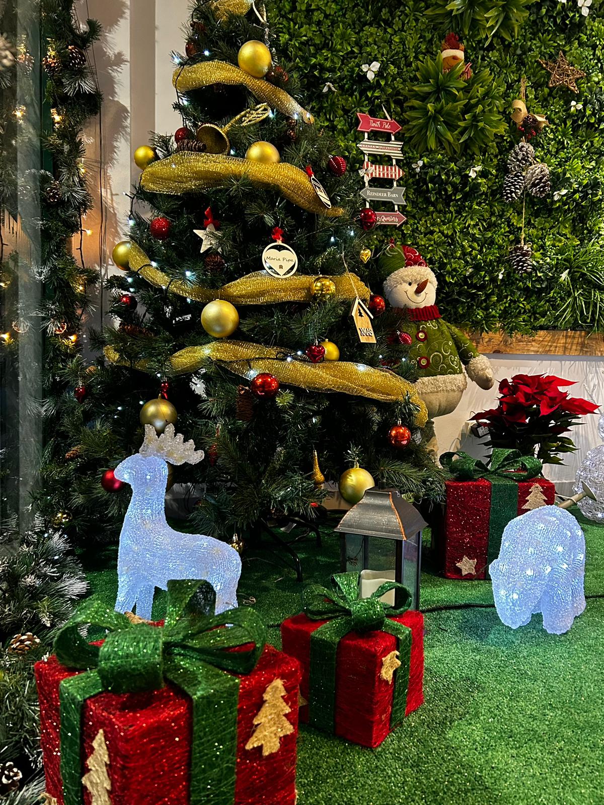 Montra da 22ª edição do XXII Concurso Montras de Natal - Cafetaria da Esquina
