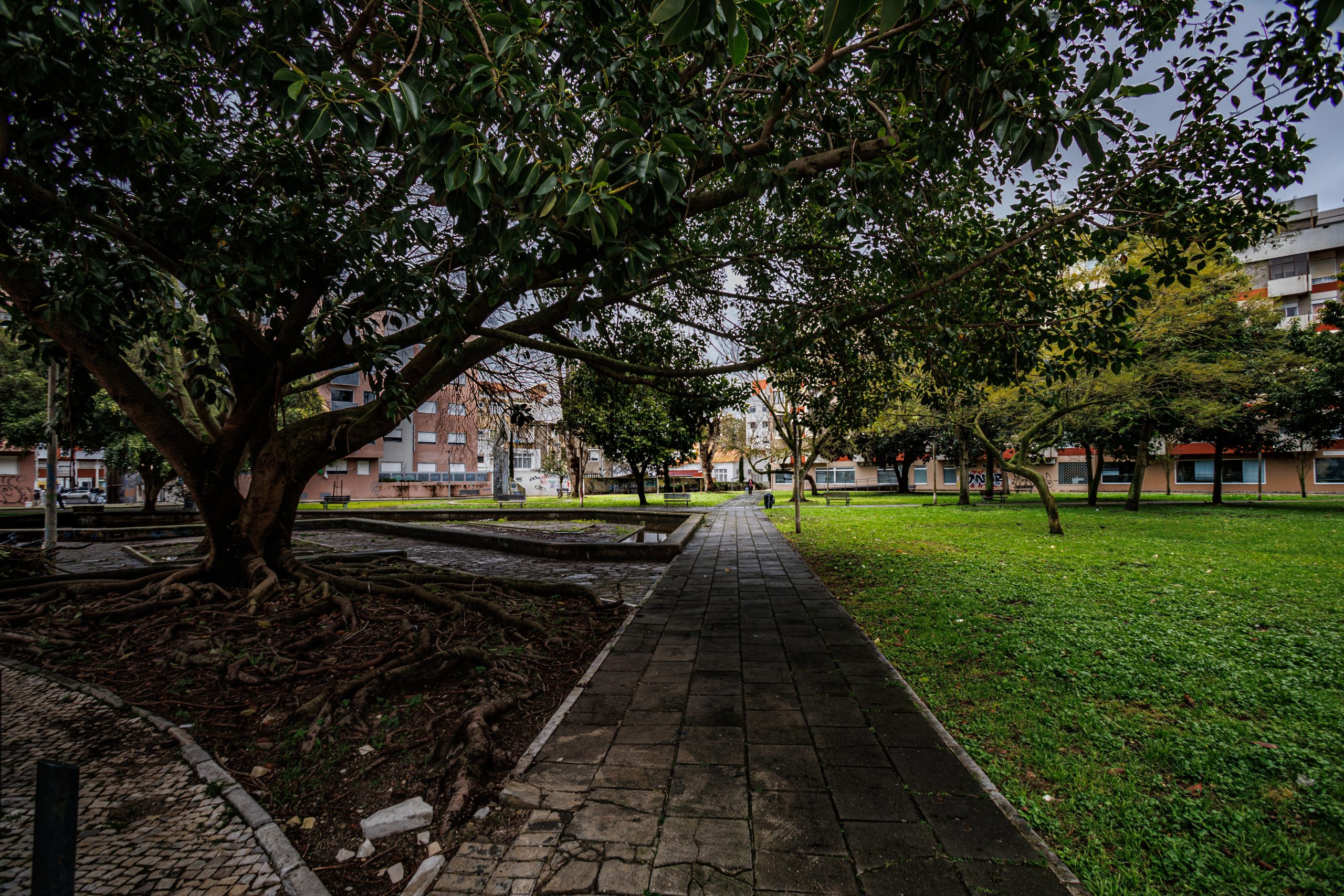 Fotografia do Jardim Zamenhof, no Barreiro