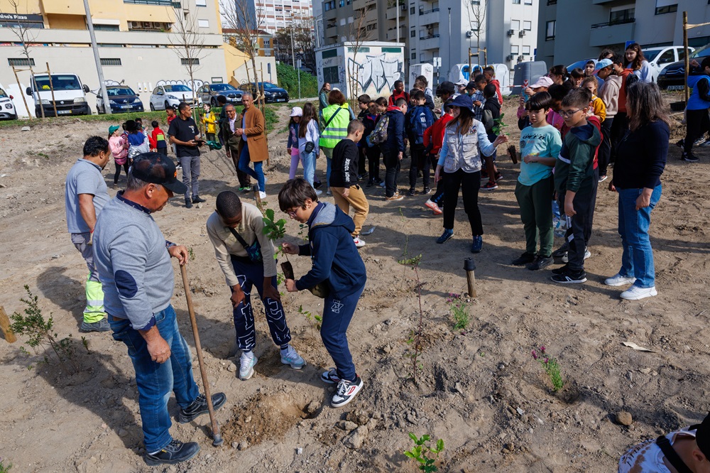 Bosquete plantação no dia Internacional das Florestas