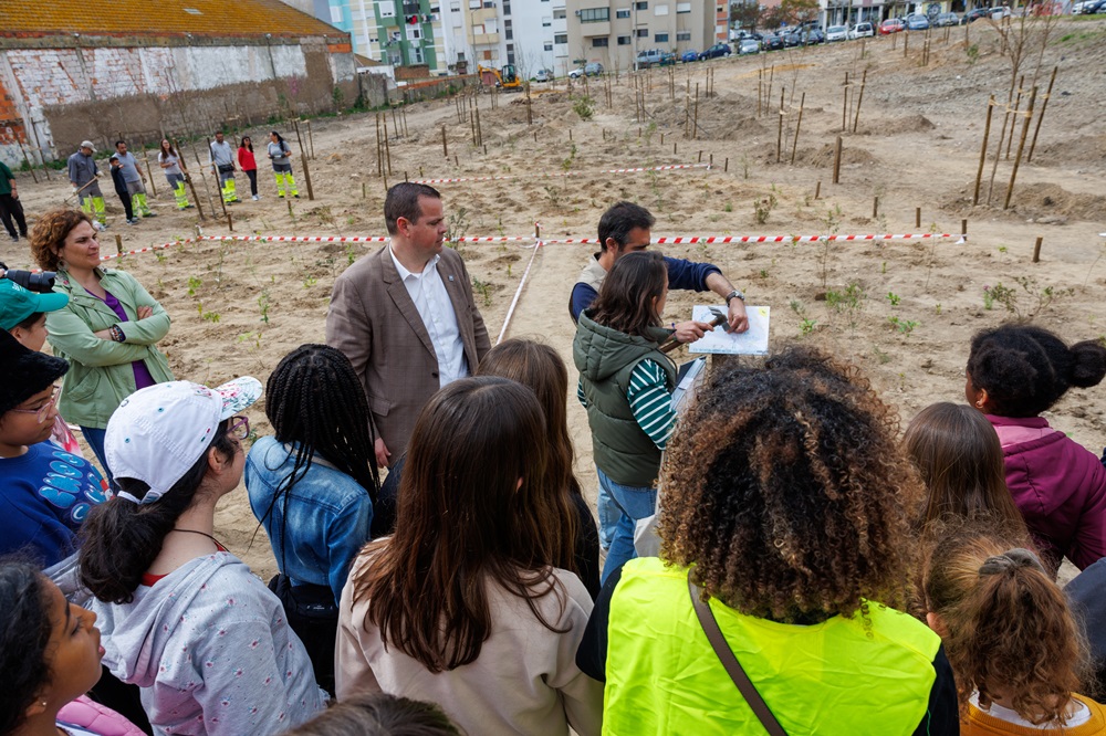Bosquete plantação no dia Internacional das Florestas