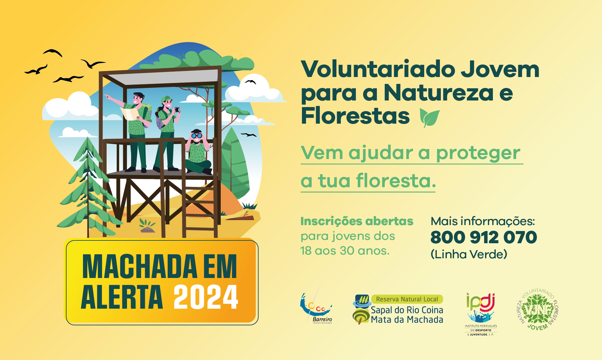 machada em alerta