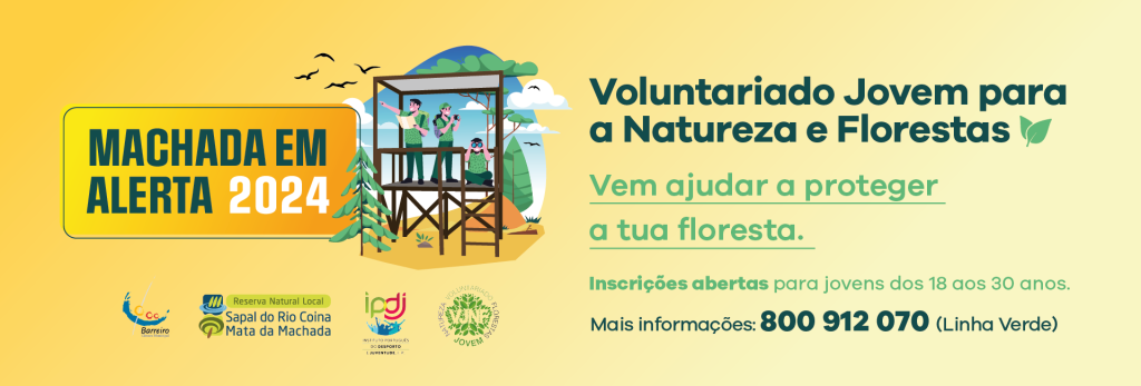 machada em alerta