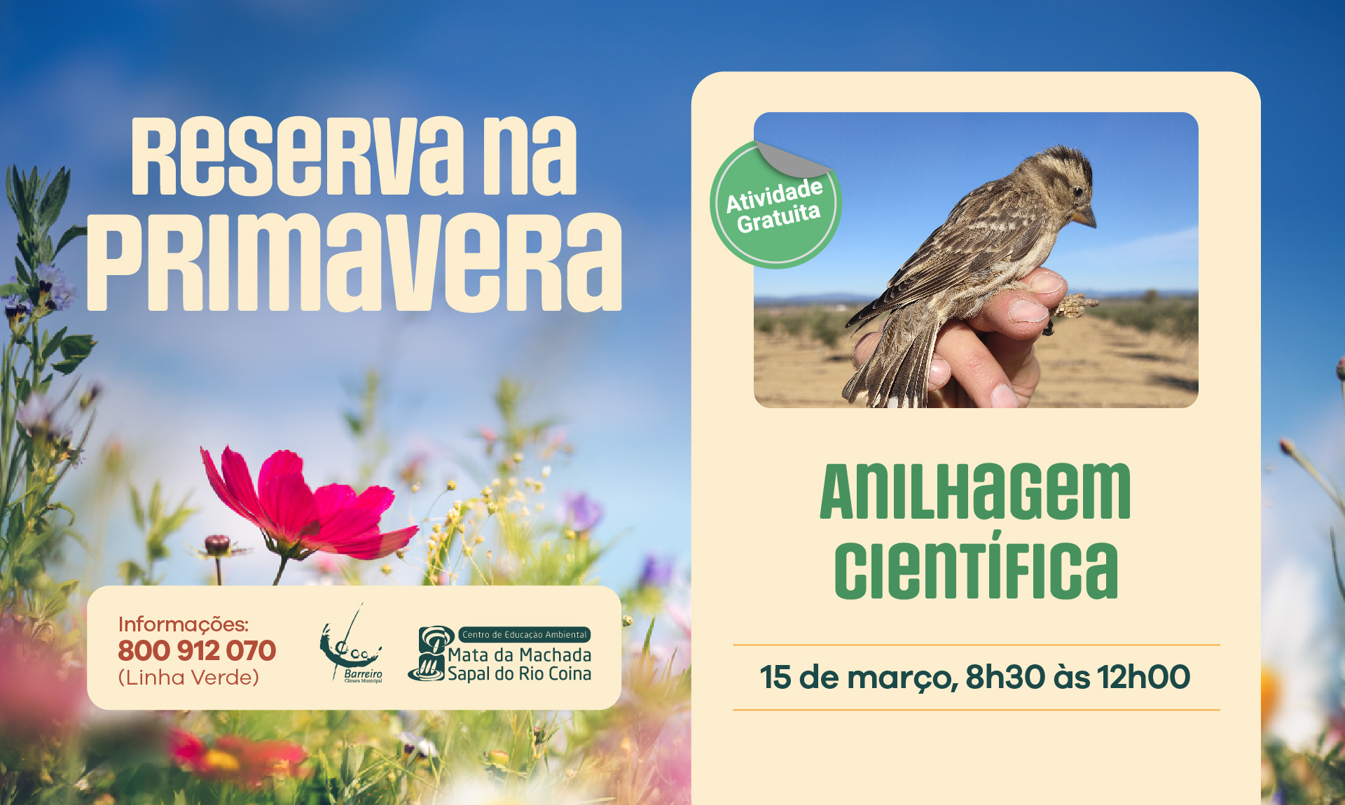 Cartaz de Anilhagem Científica, da iniciativa 