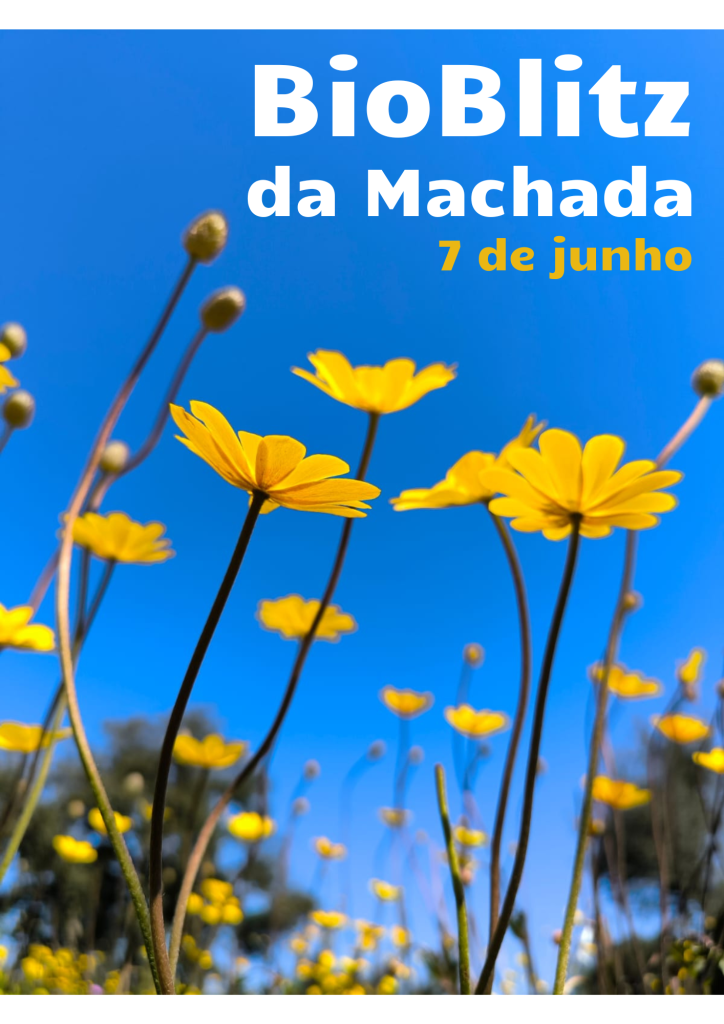 Cartaz do BioBlitz da Machada