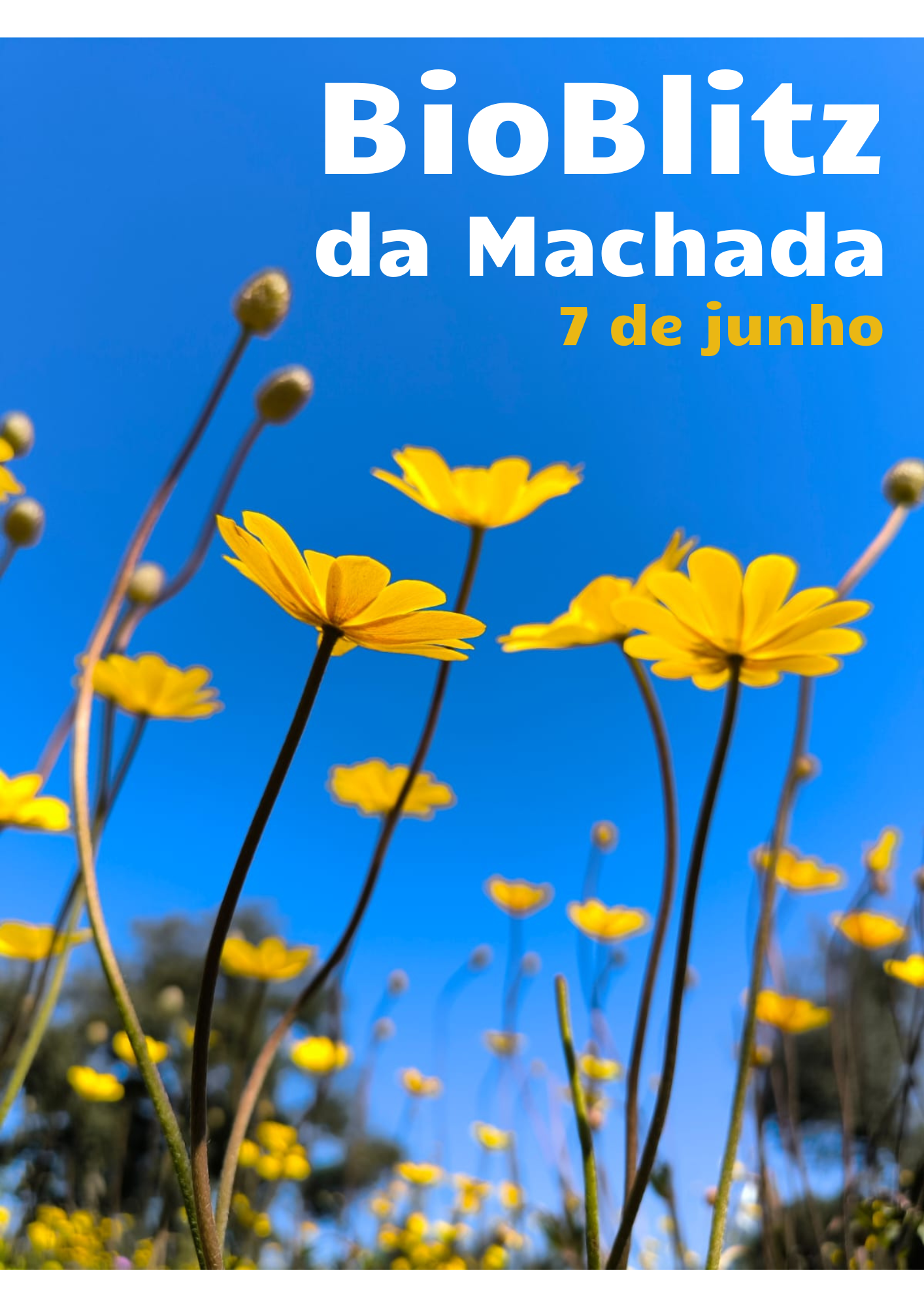 Cartaz do BioBlitz da Machada