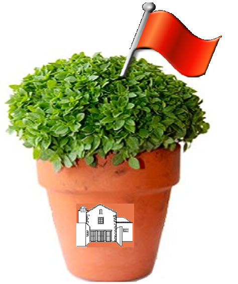 Imagem referente ao Ateliê DIY – Vaso de manjericos