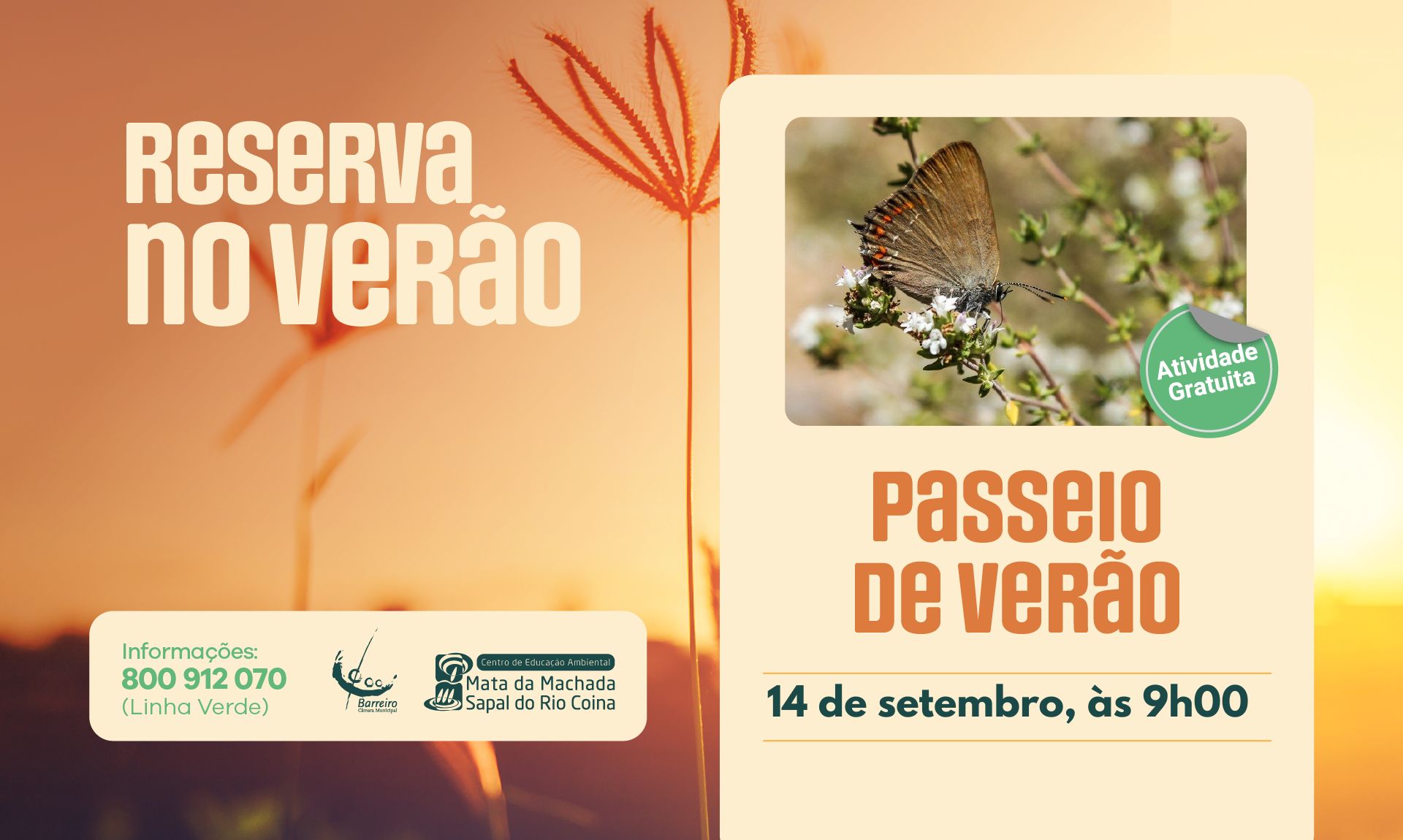 Imagem do Passeio de verão, a 14 setembro 2025, 9h00, na Mata da Machada | Inscrições gratuitas