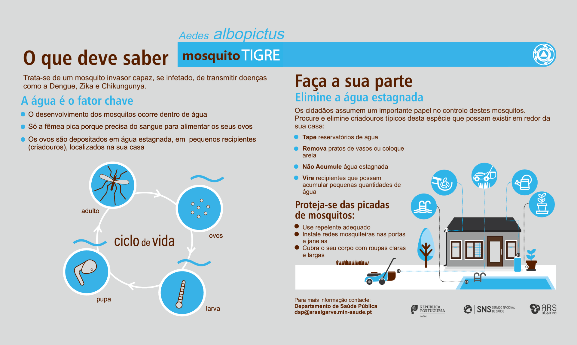 Informação | Mosquito Tigre Asiático