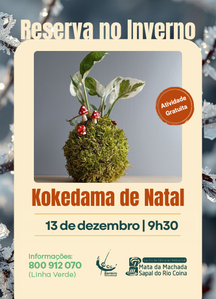 Kokedama de Natal | Reserva no Inverno | 13 dezembro 2025 | Centro de Educação Ambiental da Machada