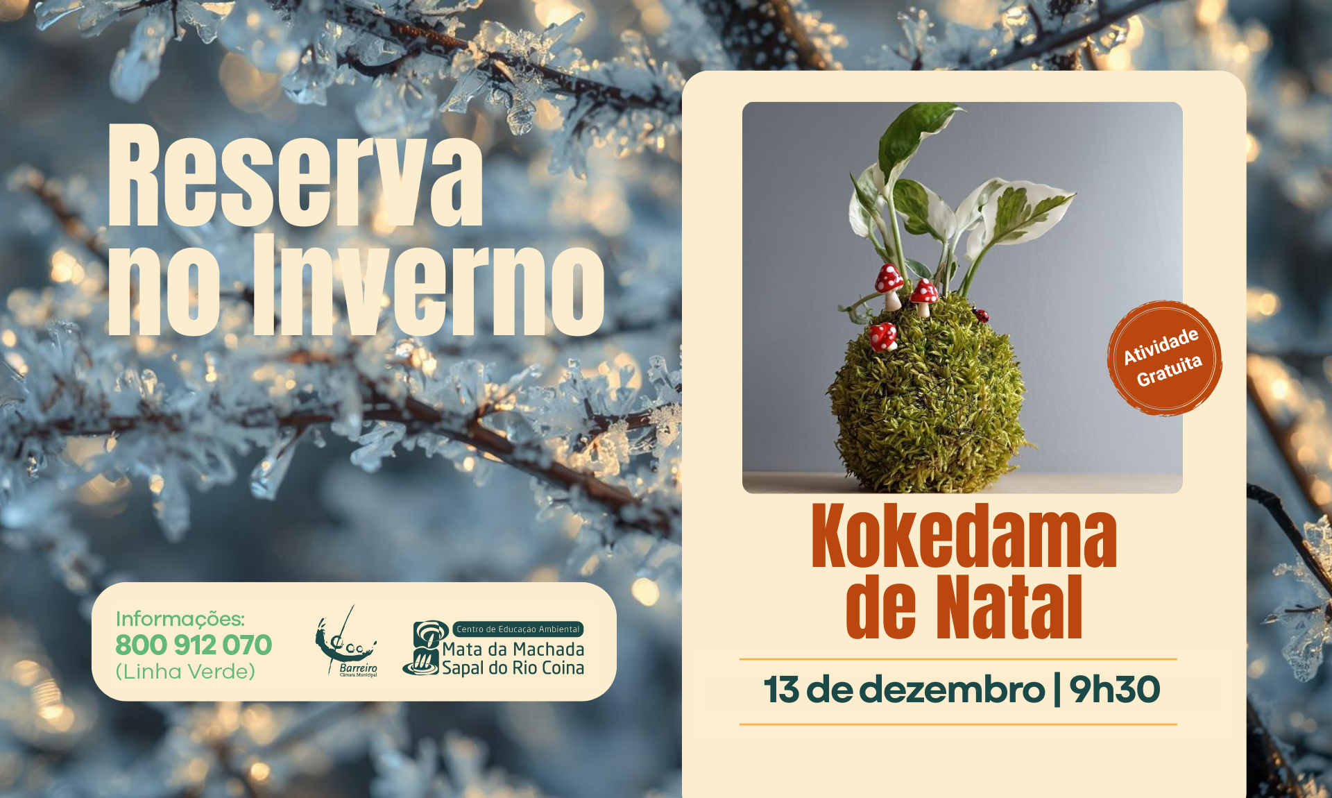 Kokedama de Natal | Reserva no Inverno | 13 dezembro 2025 | Centro de Educação Ambiental da Mac...