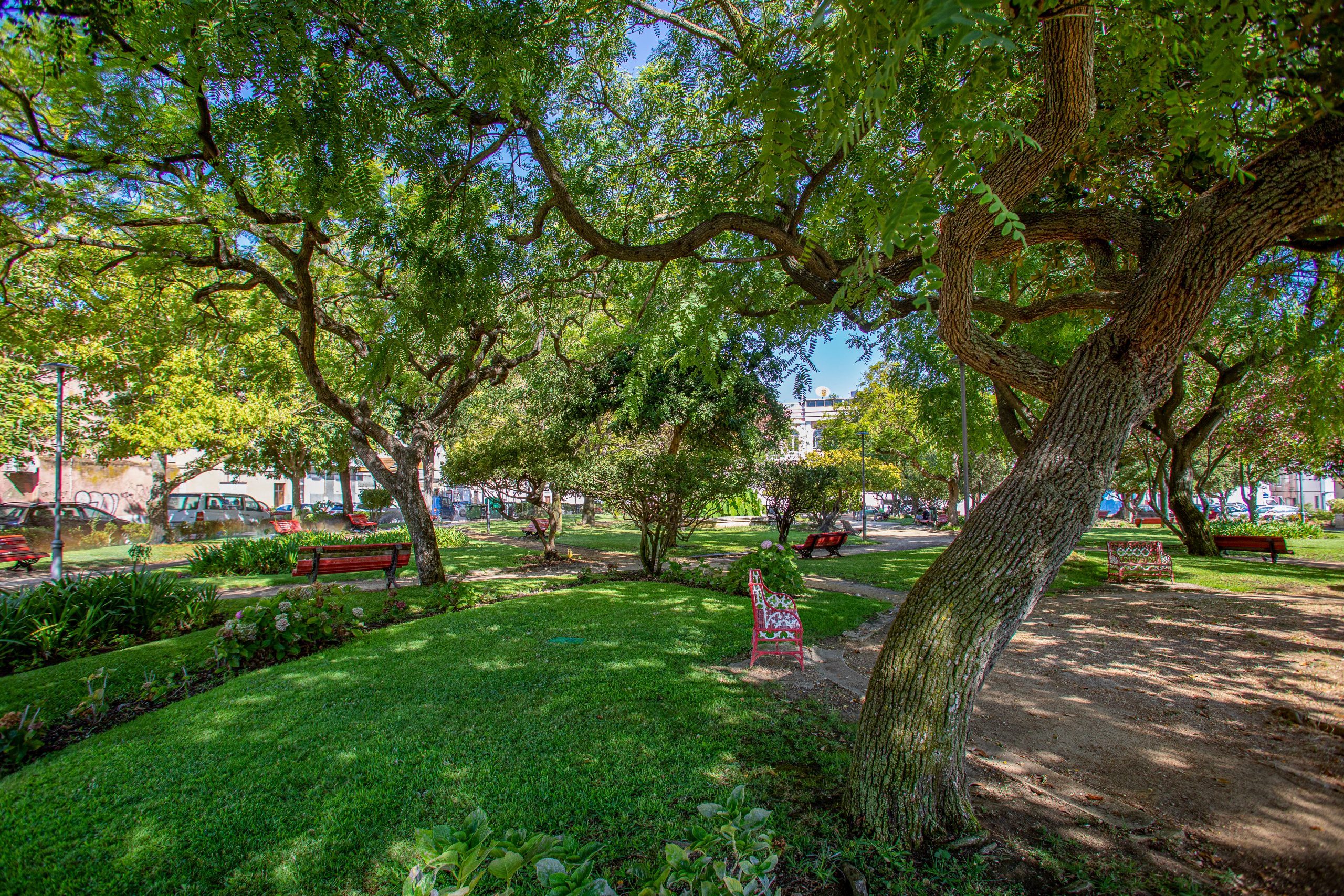 Fotografia do Jardim dos Franceses