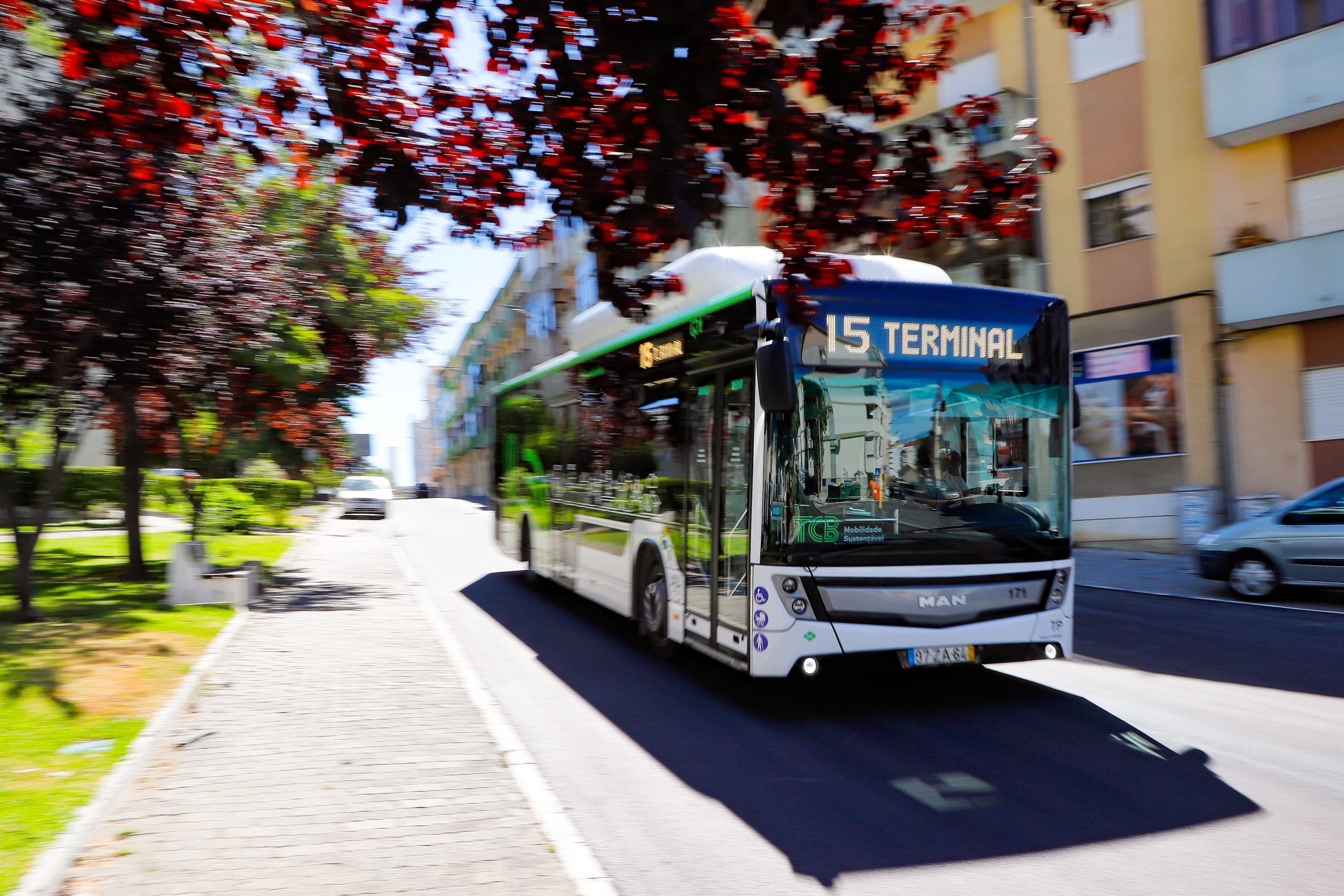 Fotografia de um autocarro TCB em movimento nas ruas do Barreiro