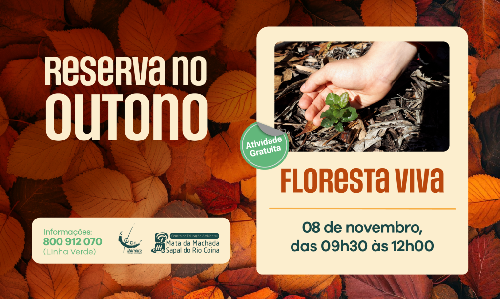 Imagem de Floresta Viva – Vamos preservar a nossa floresta | 08 novembro, na Mata da Machada
