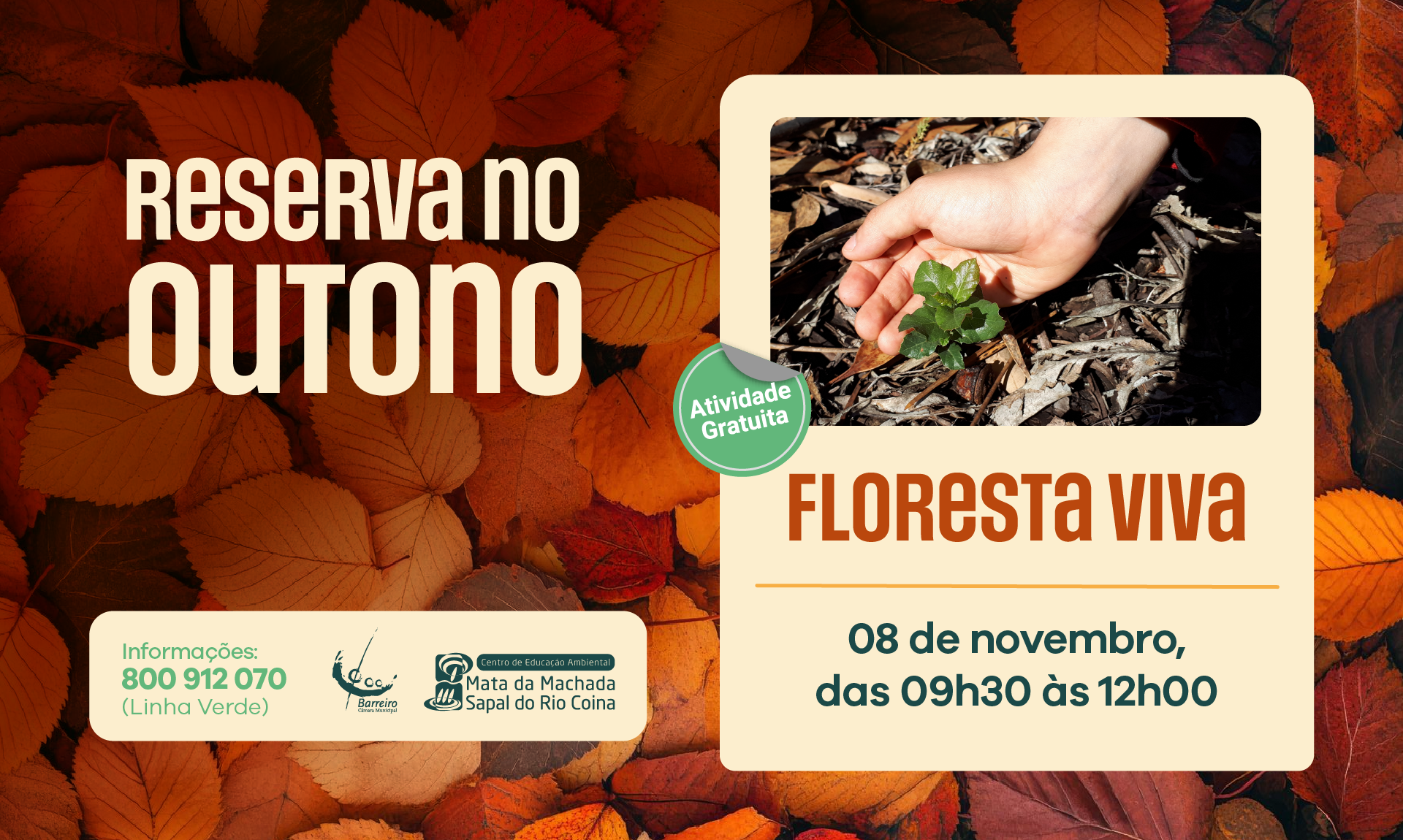 Imagem de Floresta Viva – Vamos preservar a nossa floresta | 08 novembro, na Mata da Machada