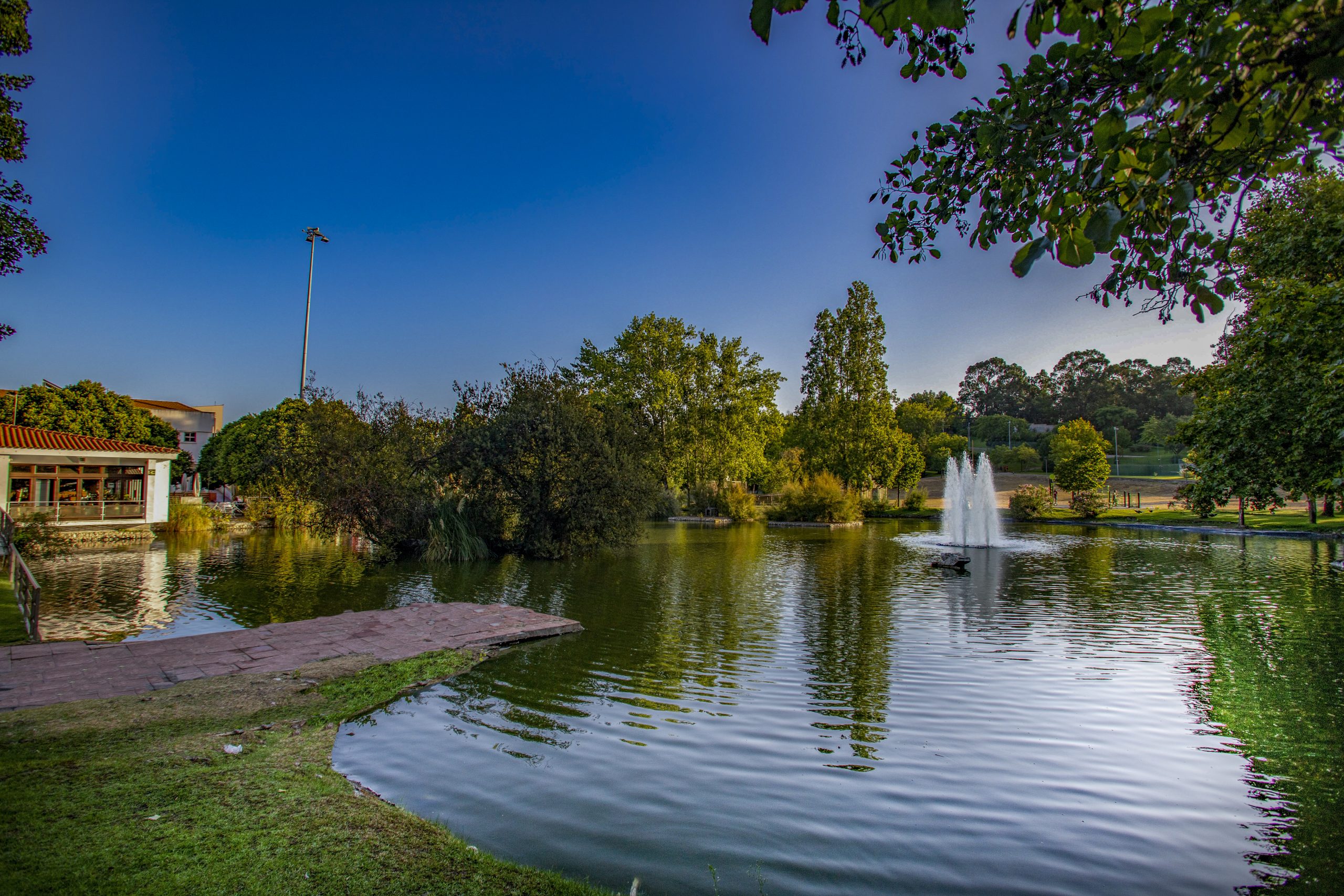 Fotografia do Parque da Cidade do Barreiro com o lago