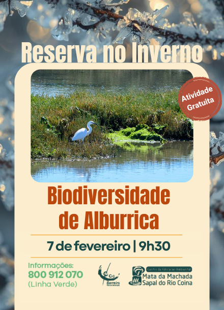 Imagem de Biodiversidade de Alburrica | 7 fevereiro 2026 | Ponto de encontro: Moinho de Maré Pequeno