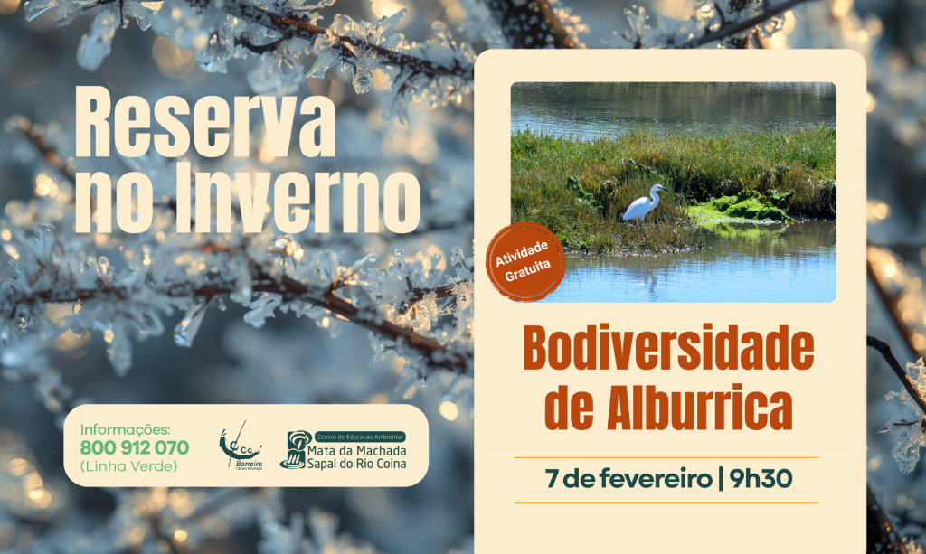 Imagem de Biodiversidade de Alburrica | 7 fevereiro 2026 | Ponto de encontro: Moinho de Maré Pequeno