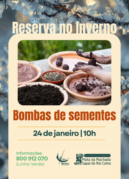 Imagem de Bombas de sementes | Reserva no Inverno | 24 janeiro | Centro de Educação Ambiental