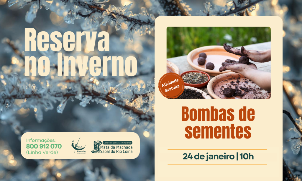 Imagem de Bombas de sementes | Reserva no Inverno | 24 janeiro | Centro de Educação Ambiental