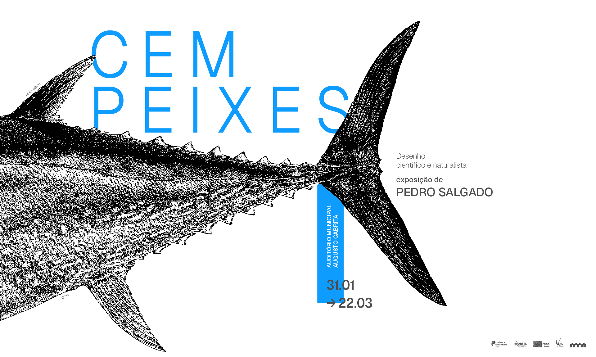 “Cem Peixes”, exposição de desenho de Pedro Salgado, no AMAC de 31/1/26 a 22/3/26, no Barreiro