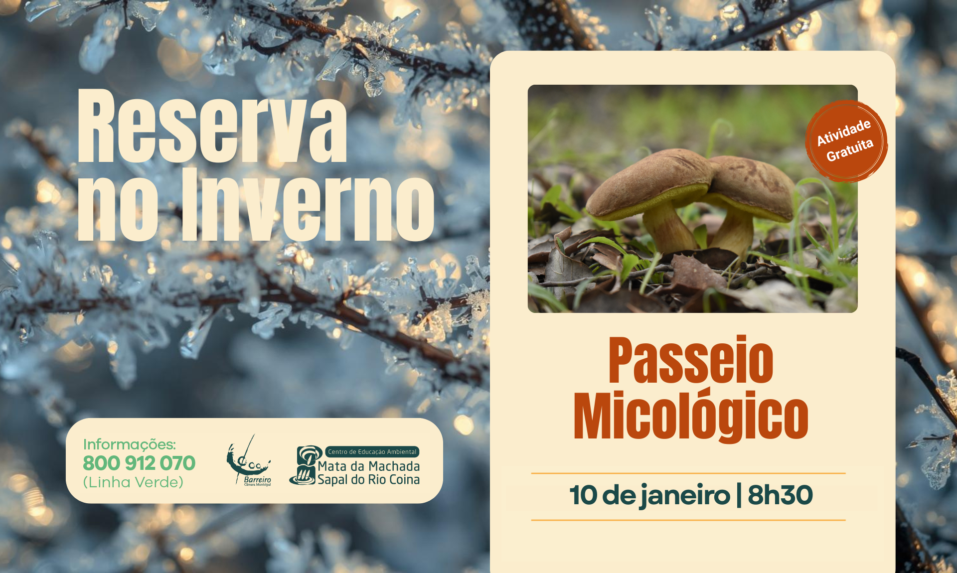 Passeio _Eventos_notícias_Galeria