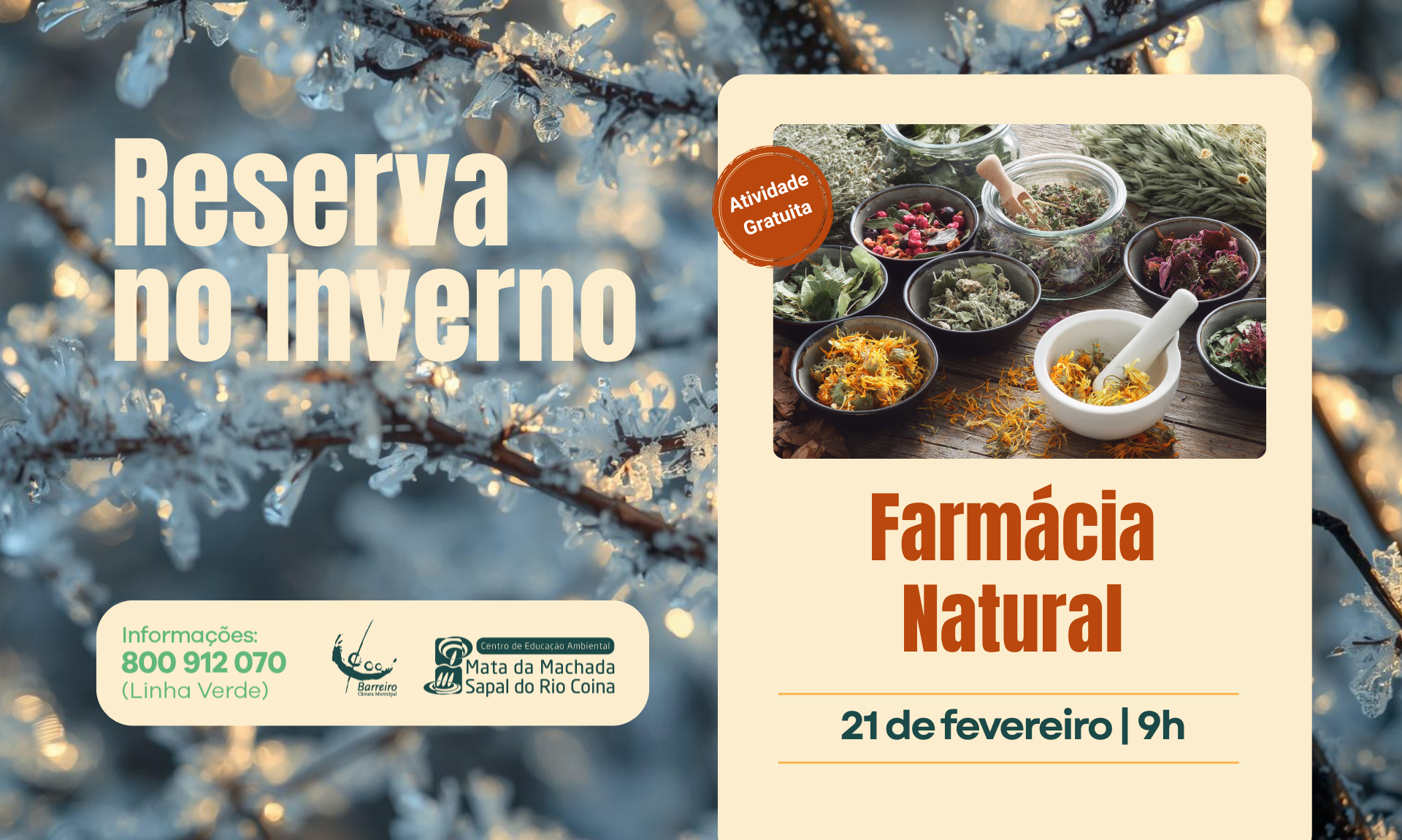 Imagem de Farmácia Natural | 21 fevereiro 2026, no Centro de Educação Ambiental da Mata da Mac...