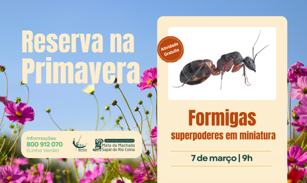 Imagem de Formigas: Superpoderes em Miniatura a 7 de março de 2026