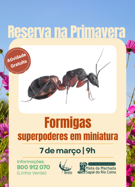 Imagem de Formigas: Superpoderes em Miniatura a 7 de março de 2026