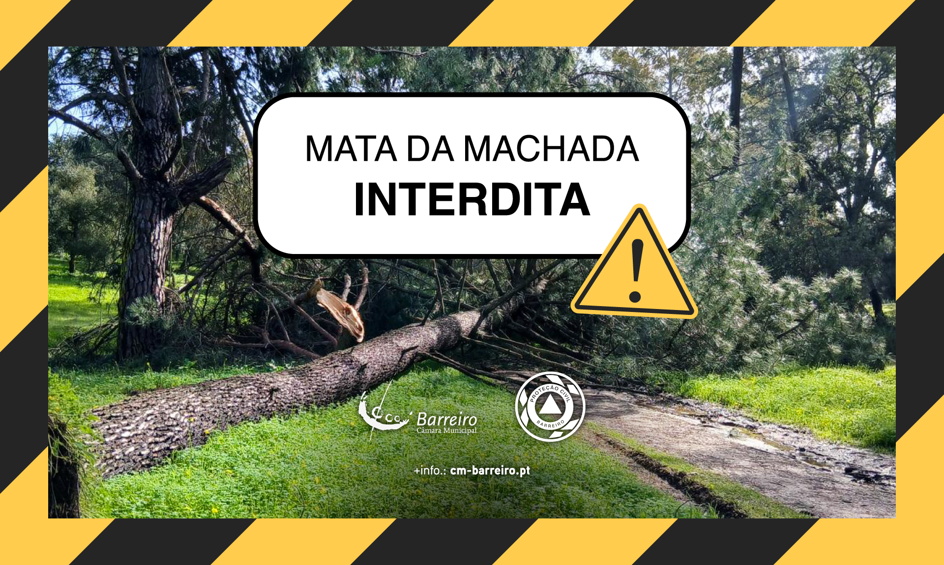 Mata da Machada Interdita