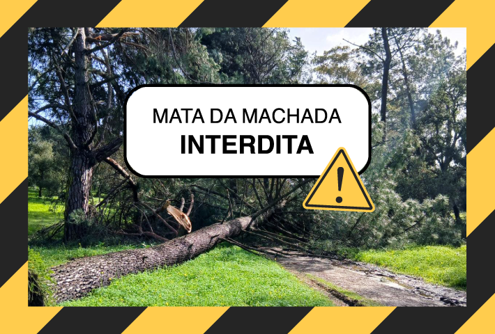 Mata da Machada Interdita