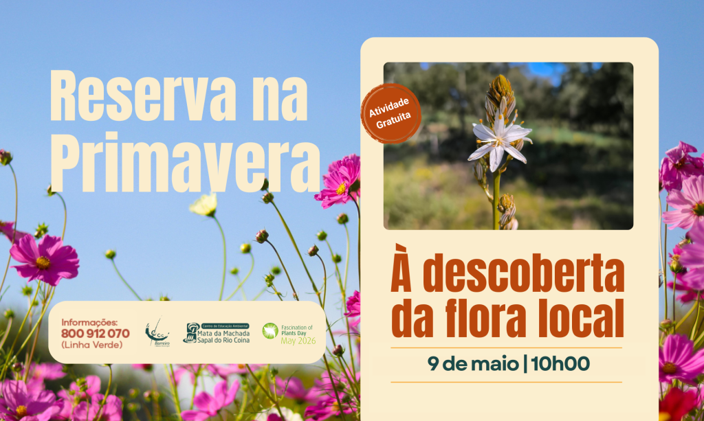 Reserva na Primavera | À Descoberta da Flora Local | Inscrições abertas