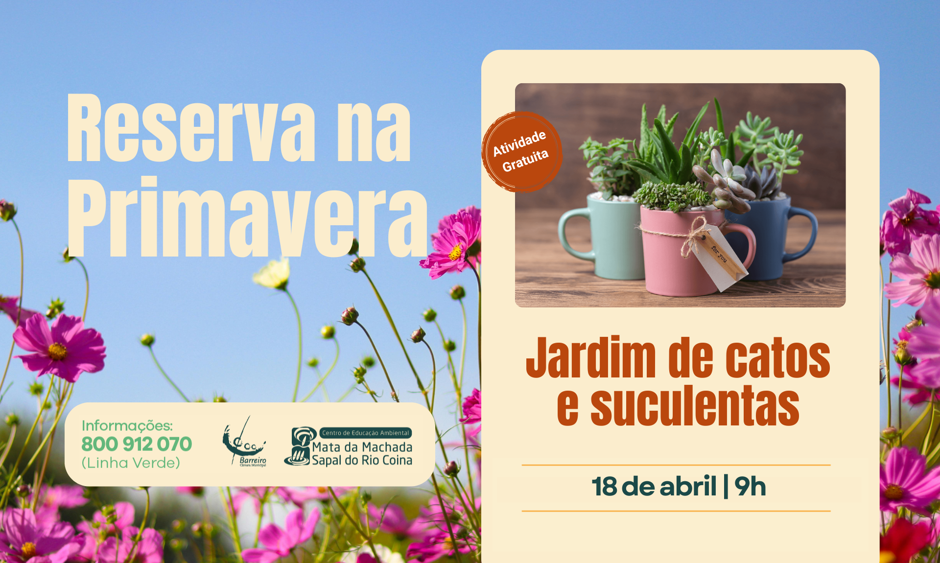 Imagem da Oficina Jardim de Catos e Suculentas, 18 abril 2026 no Centro de Educação Ambiental