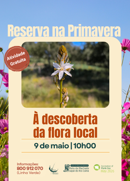 Imagem da Reserva na Primavera | À Descoberta da Flora Local