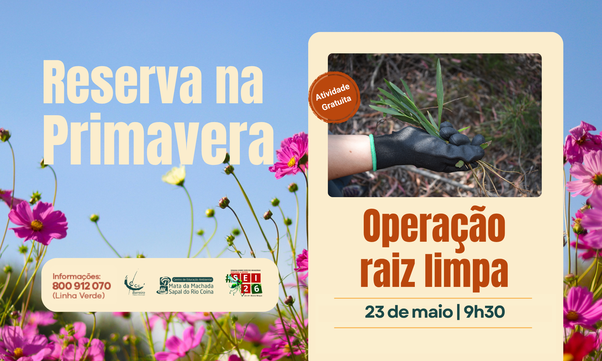 cartaz Ação de Voluntariado Operação Raiz Limpa