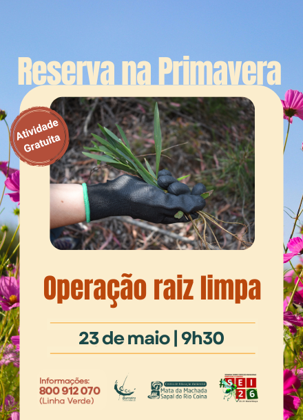 Ação de Voluntariado Operação Raiz Limpa