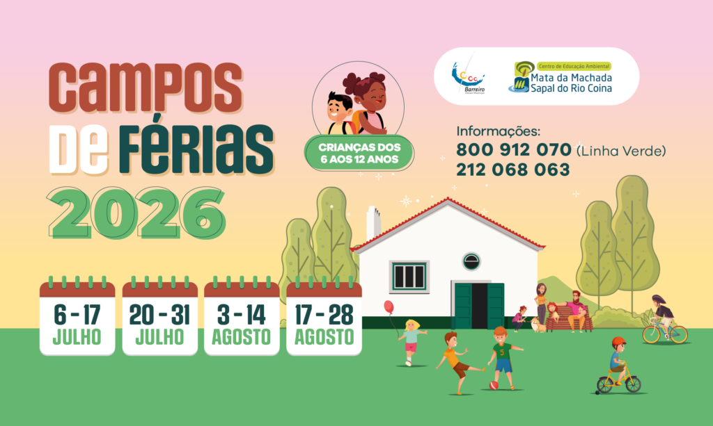 Imagem dos Campos de Férias 2026