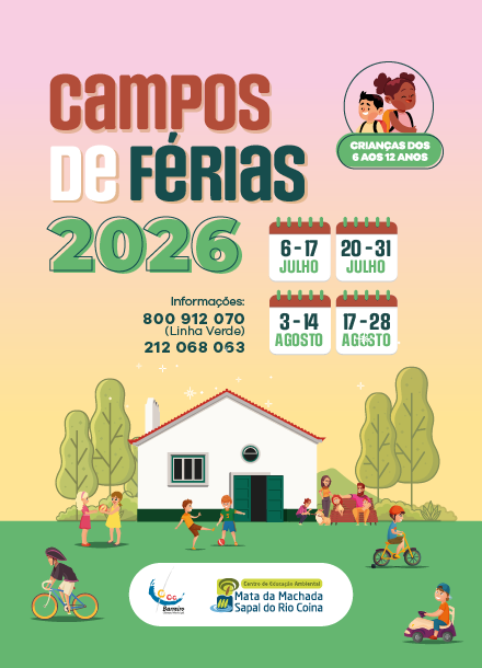 Imagem - Campos de Férias 2026