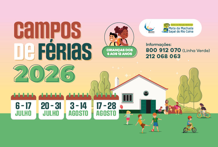 Imagem de Campos de Férias 2026
